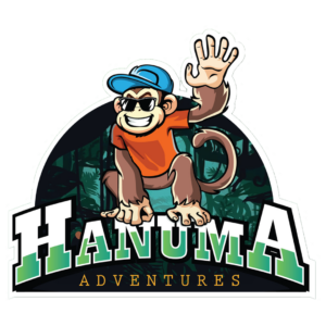 hanuma-logo